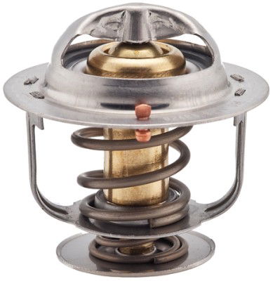 Thermostat d'eau