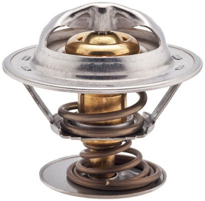 Thermostat d'eau