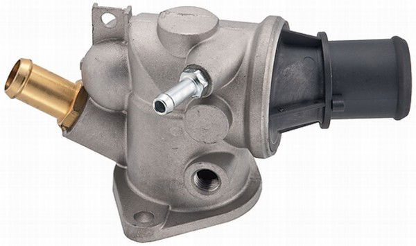 Thermostat d'eau