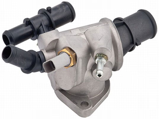 Thermostat d'eau