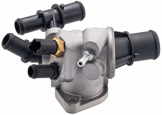 Thermostat d'eau