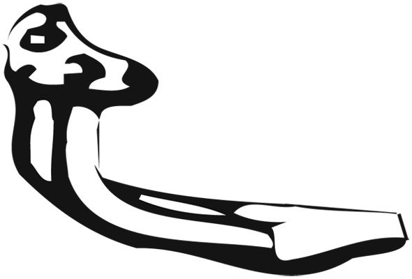 Tuyau d'échappement