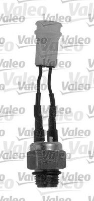 Interrupteur de température, ventilateur de radiateur