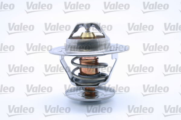 Thermostat d'eau