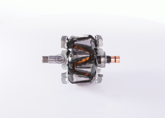Rotor, alternateur
