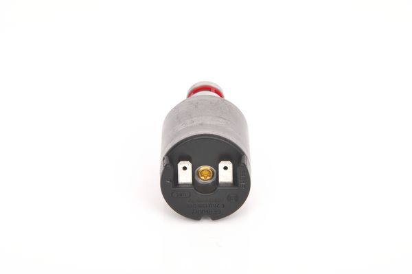 Régulateur de pression du carburant