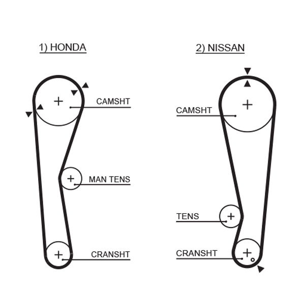 Courroie crantée PowerGrip®