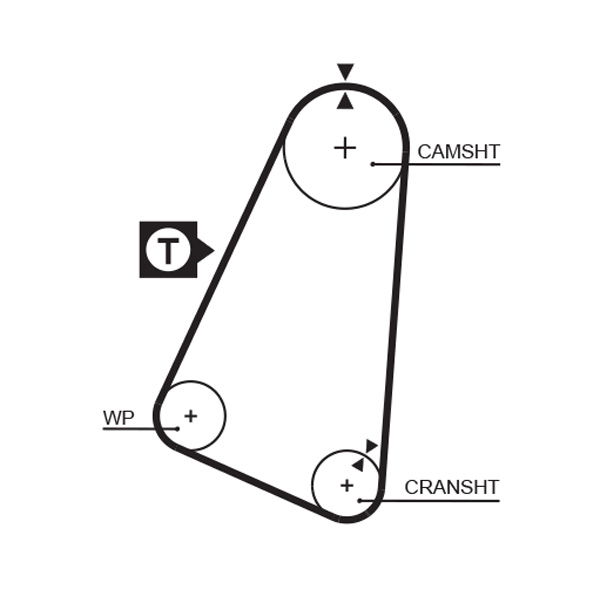 Courroie crantée PowerGrip®