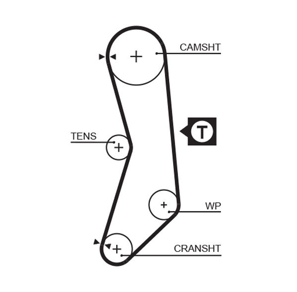 Courroie crantée PowerGrip®