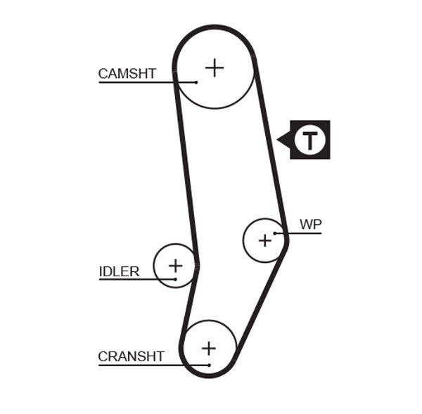 Courroie crantée PowerGrip®