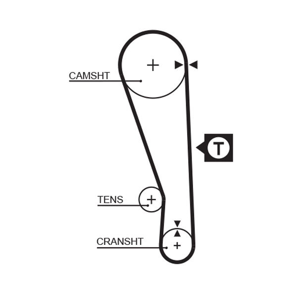 Courroie crantée PowerGrip®