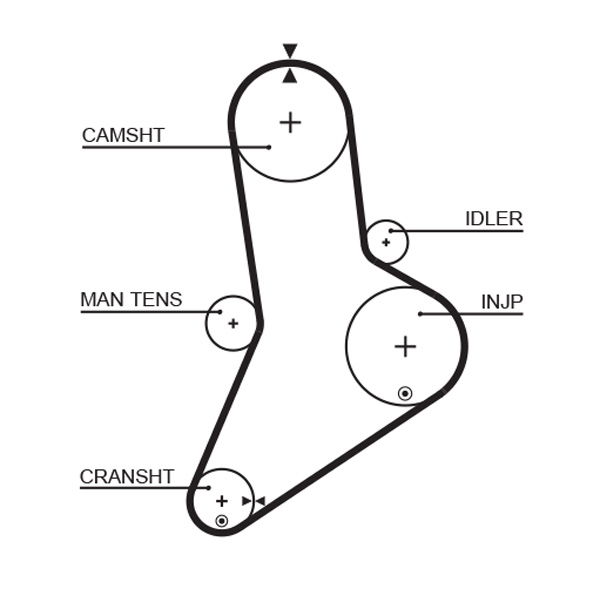 Courroie crantée PowerGrip®