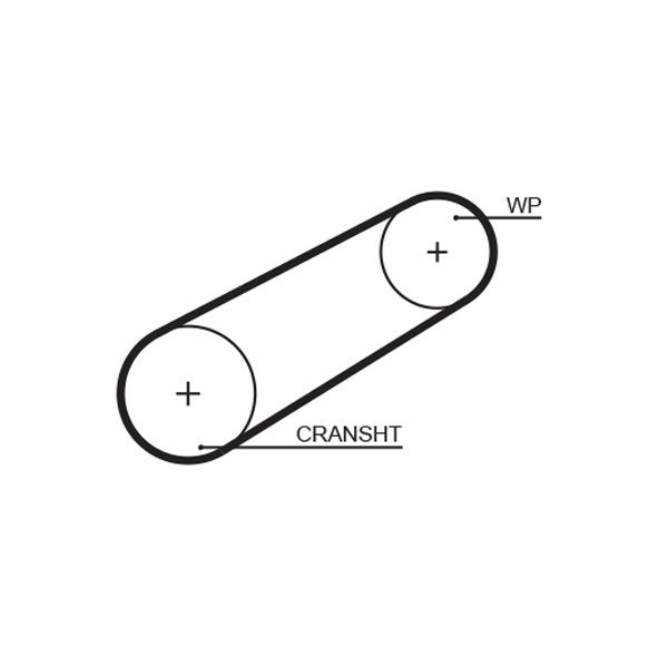 Courroie crantée PowerGrip®