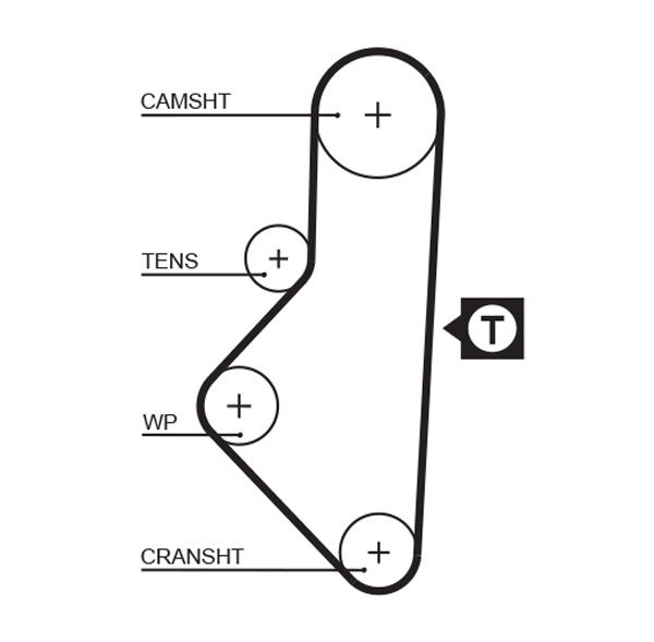 Courroie crantée PowerGrip®