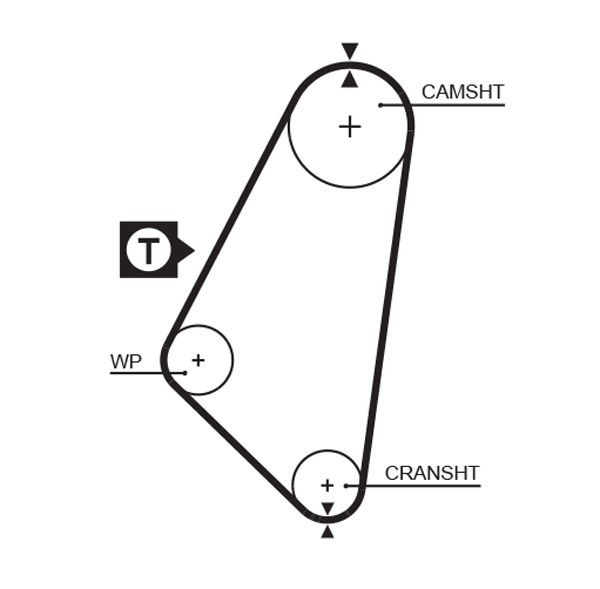 Courroie crantée PowerGrip®