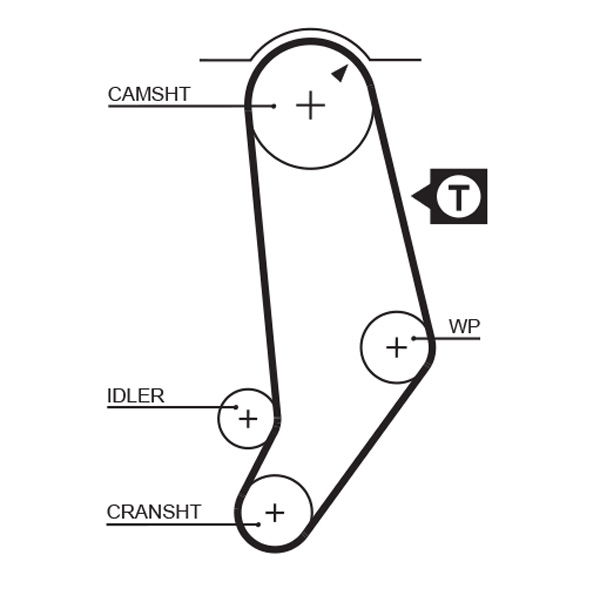 Courroie crantée PowerGrip®