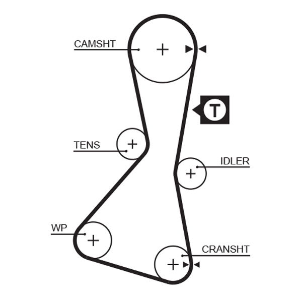 Courroie crantée PowerGrip®