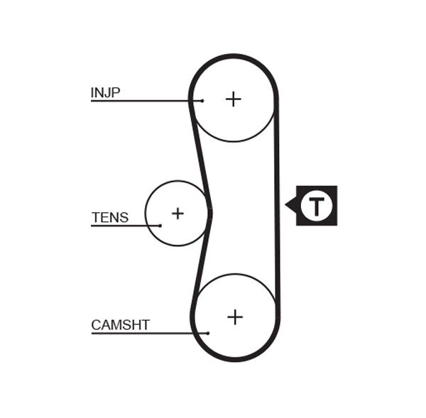 Courroie crantée PowerGrip®