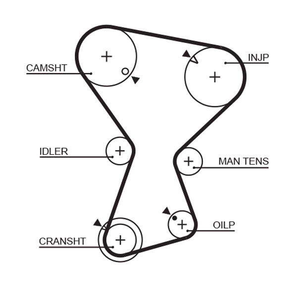 Courroie crantée PowerGrip®