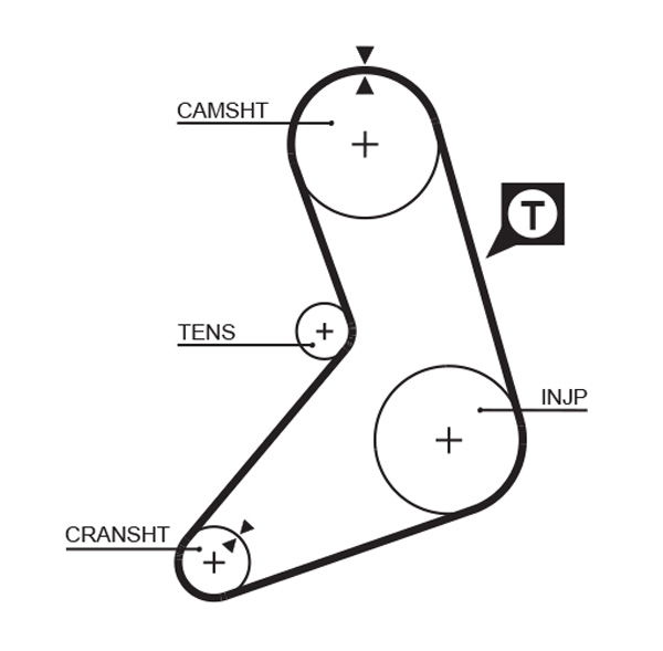 Courroie crantée PowerGrip®