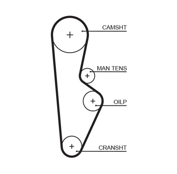 Courroie crantée PowerGrip®