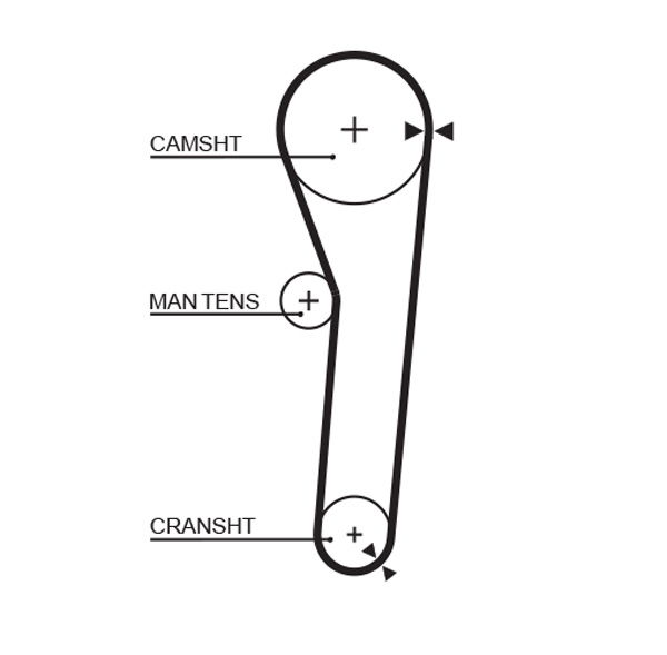 Courroie crantée PowerGrip®