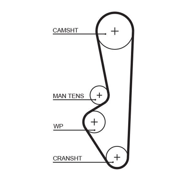 Courroie crantée PowerGrip®