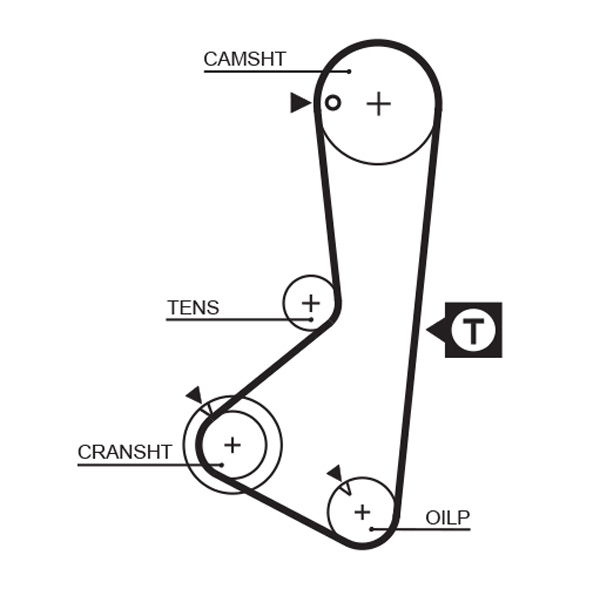 Courroie crantée PowerGrip®