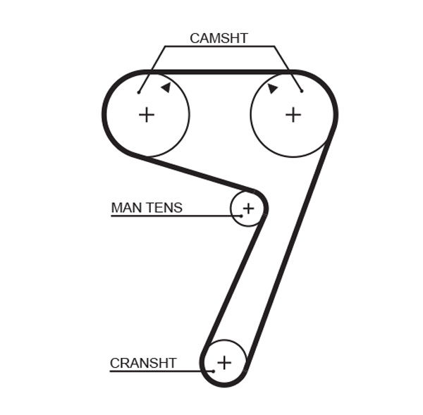 Courroie crantée PowerGrip®