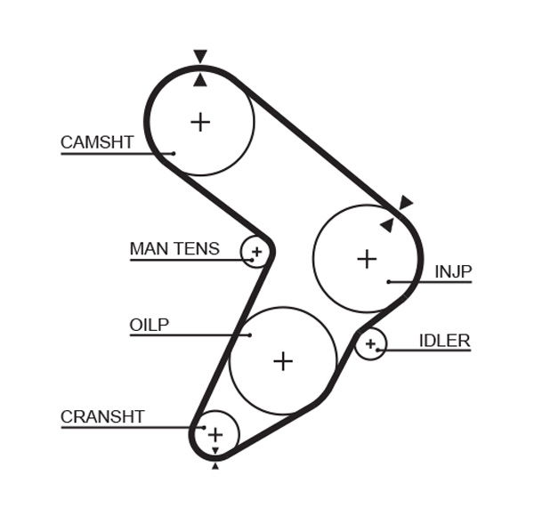Courroie crantée PowerGrip®