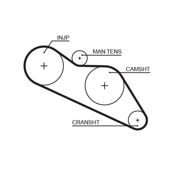 Courroie crantée PowerGrip®