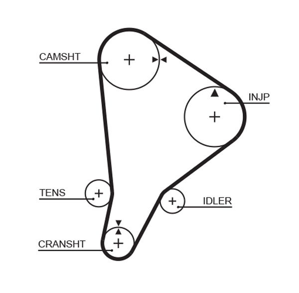 Courroie crantée PowerGrip®