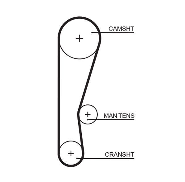 Courroie crantée PowerGrip®