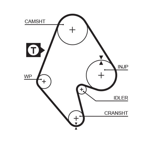 Courroie crantée PowerGrip®