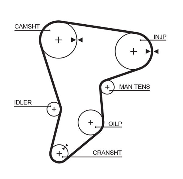 Courroie crantée PowerGrip®