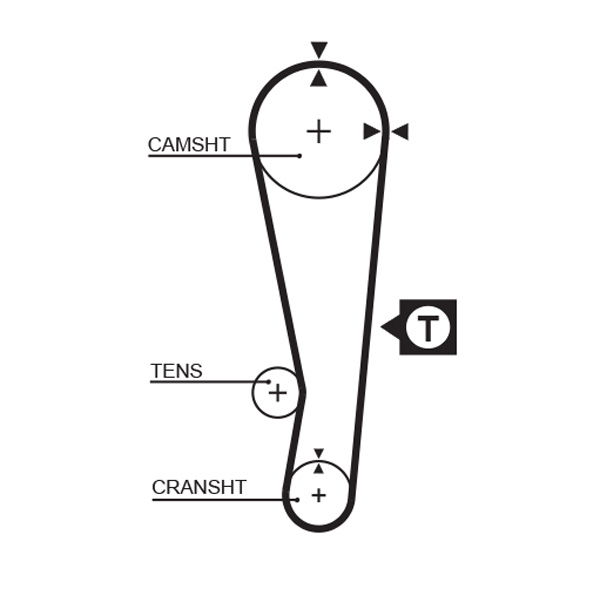 Courroie crantée PowerGrip®