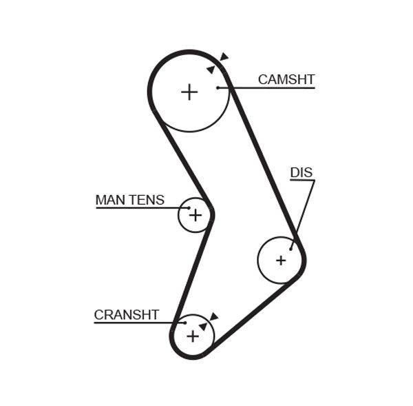 Courroie crantée PowerGrip®