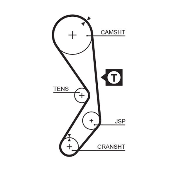 Courroie crantée PowerGrip®