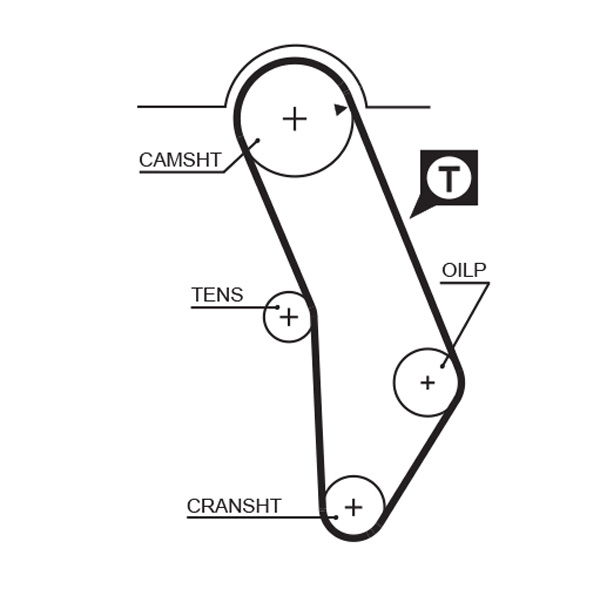 Courroie crantée PowerGrip®