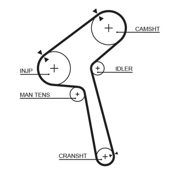 Courroie crantée PowerGrip®