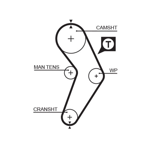 Courroie crantée PowerGrip®