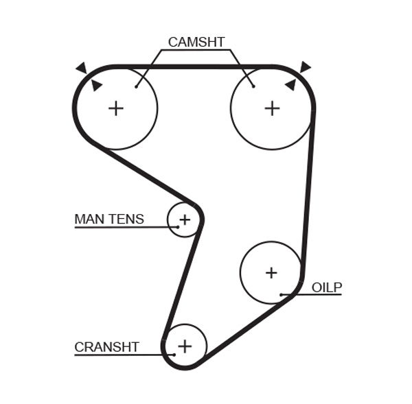 Courroie crantée PowerGrip®