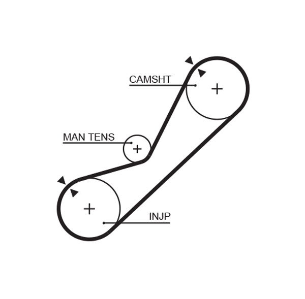 Courroie crantée PowerGrip®