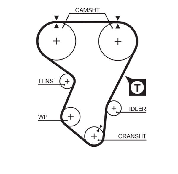 Courroie crantée PowerGrip®