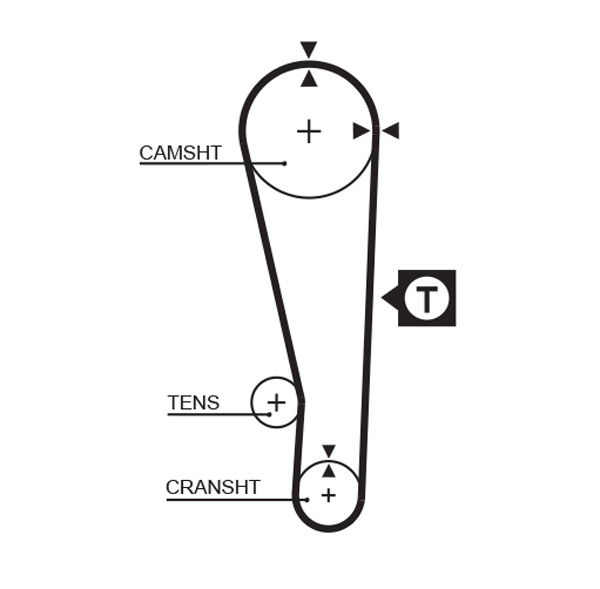 Courroie crantée PowerGrip®