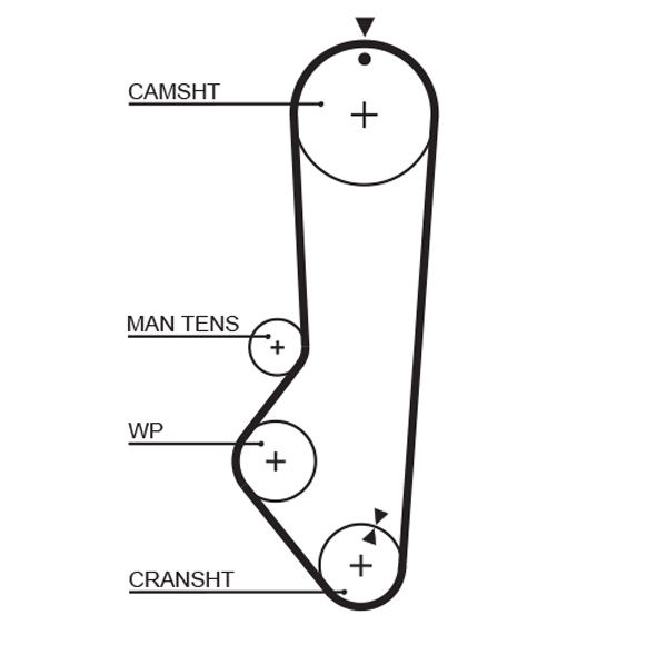 Courroie crantée PowerGrip®