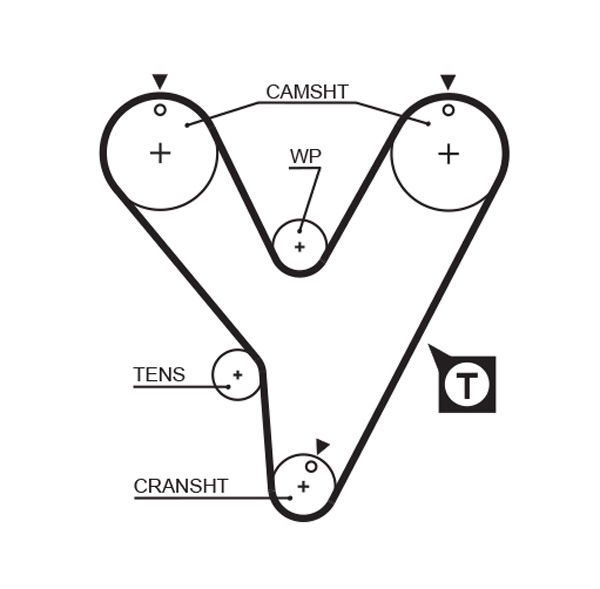 Courroie crantée PowerGrip®