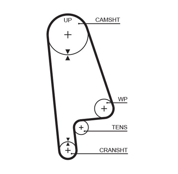 Courroie crantée PowerGrip®