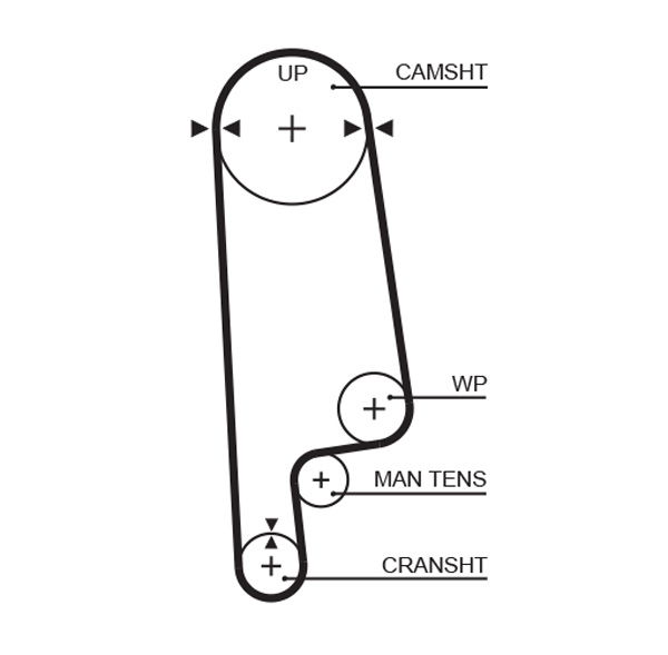 Courroie crantée PowerGrip®