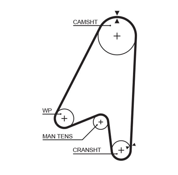 Courroie crantée PowerGrip®